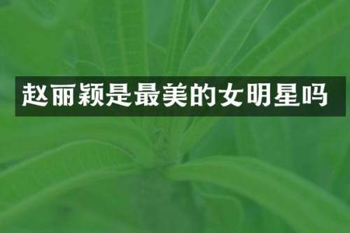 赵丽颖是最美的女明星吗