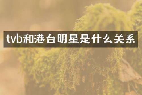 tvb和港台明星是什么关系