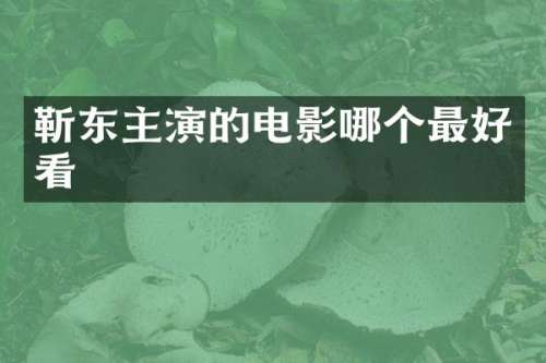 主演的电影哪个最好看