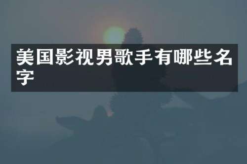 美国影视男歌手有哪些名字