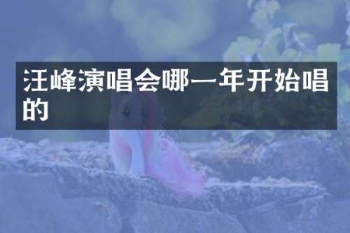 汪峰演唱会哪一年开始唱的