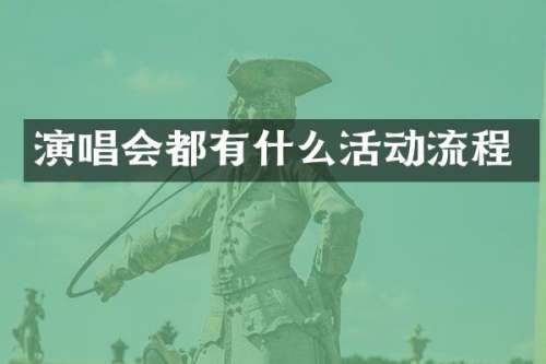 演唱会都有什么活动流程