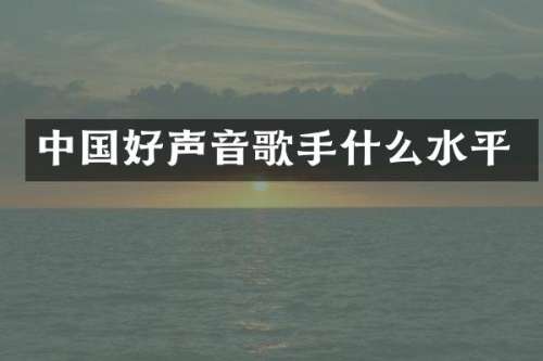 中国好声音歌手什么水平