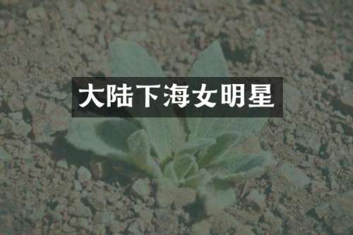 大陆下海女明星