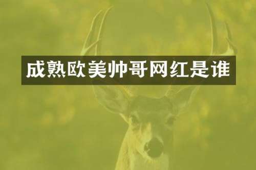 成熟欧美帅哥网红是谁