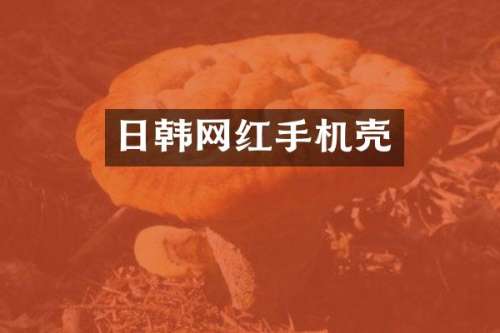 日韩网红手机壳