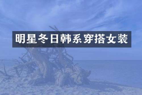 明星冬日韩系穿搭女装