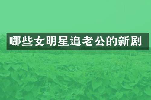哪些女明星追老公的新剧