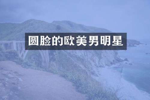 圆脸的欧美男明星