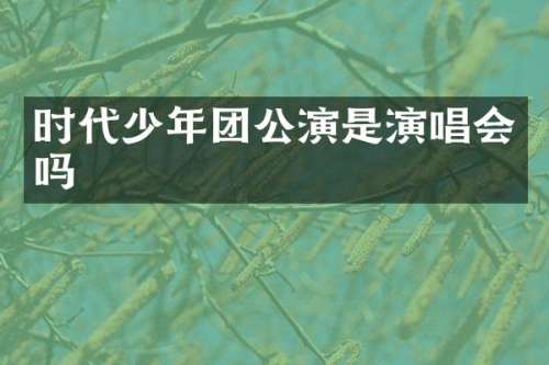 时代少年团公演是演唱会吗