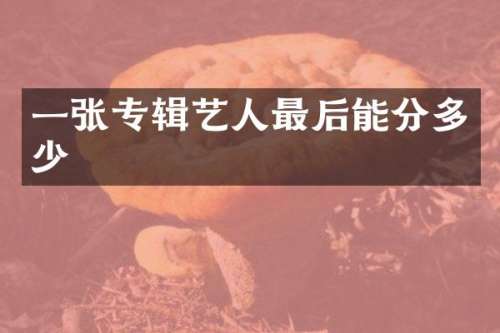 一张专辑艺人最后能分多少