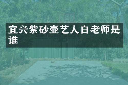 宜兴紫砂壶艺人白老师是谁