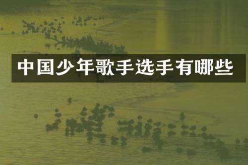 中国少年歌手选手有哪些