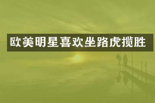 欧美明星喜欢坐路虎揽胜
