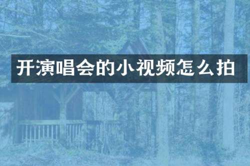 开演唱会的小视频怎么拍