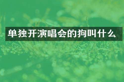 单独开演唱会的狗叫什么