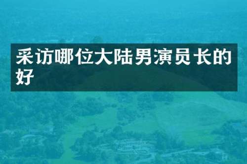 采访哪位大陆男演员长的好