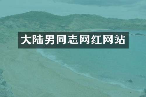 大陆志网红网站