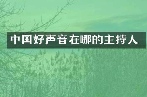 中国好声音在哪的主持人