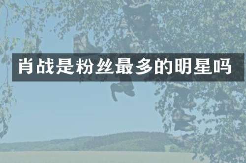肖战是粉丝最多的明星吗