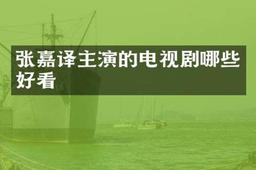 张嘉译主演的电视剧哪些好看