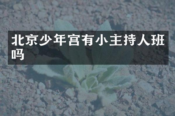 北京少年宫有小主持人班吗