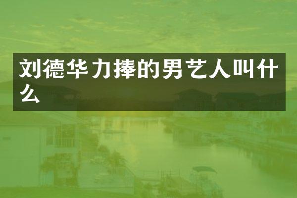 刘德华力捧的男艺人叫什么