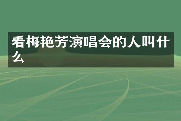 看梅艳芳演唱会的人叫什么