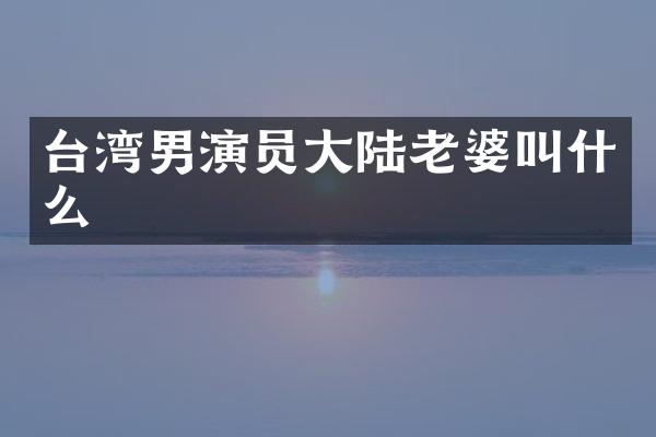 台湾男演员大陆老婆叫什么