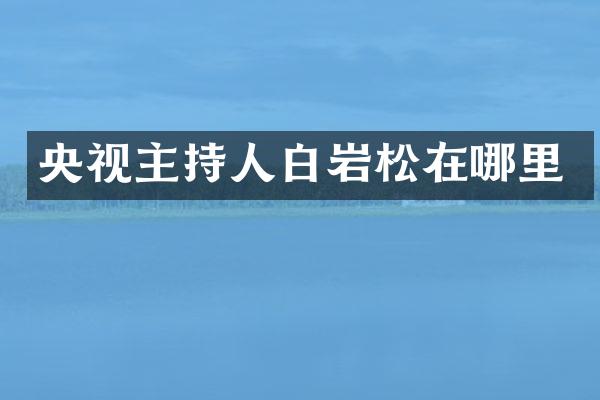 央视主持人白岩松在哪里