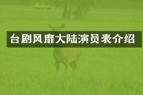 台剧风靡大陆演员表介绍