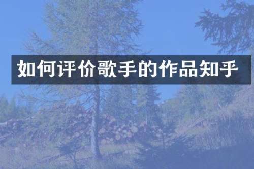 如何评价歌手的作品知乎