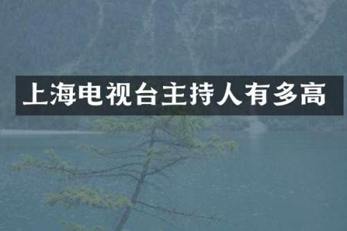 上海电视台主持人有多高