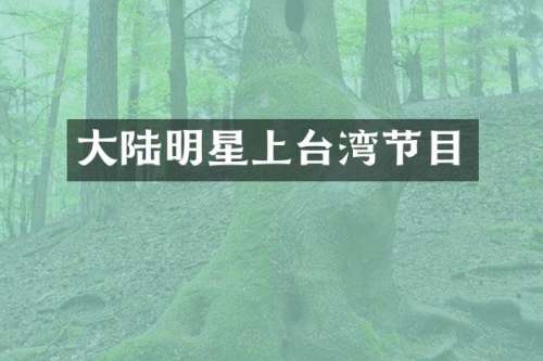 大陆明星上台湾节目