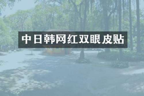 中日韩网红双眼皮贴