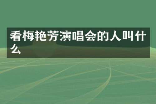 看梅艳芳演唱会的人叫什么