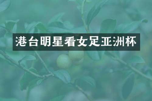 港台明星看女足亚洲杯