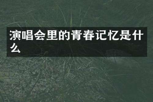 演唱会里的青春记忆是什么