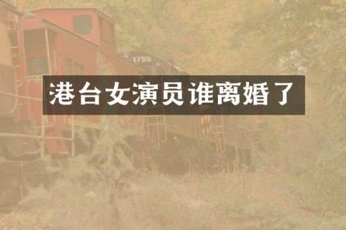 港台女演员谁离婚了