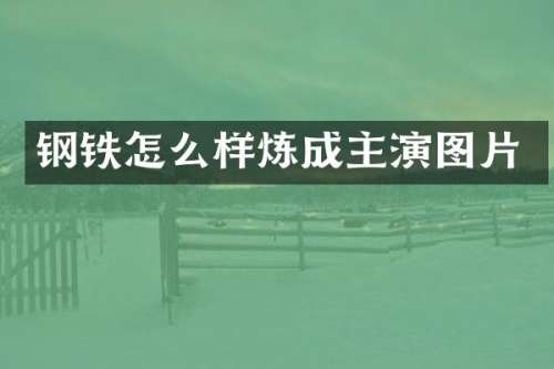 钢铁怎么样炼成主演图片