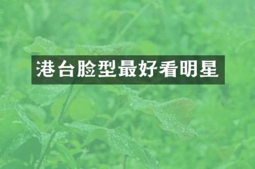 港台脸型最好看明星