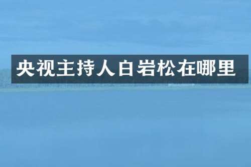 央视主持人白岩松在哪里