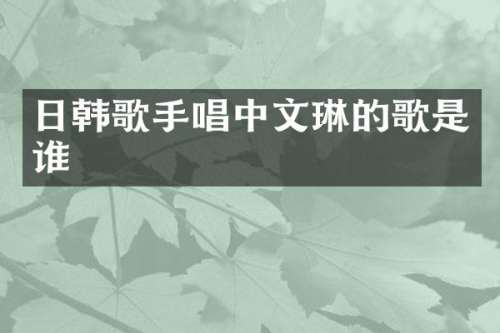日韩歌手唱中文琳的歌是谁
