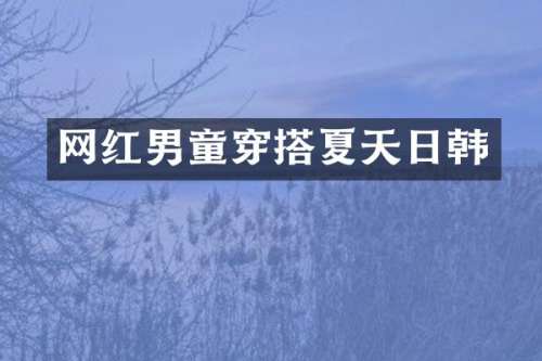网红男童穿搭夏天日韩