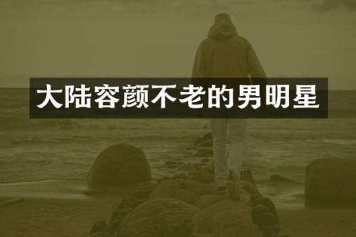大陆容颜不老的男明星