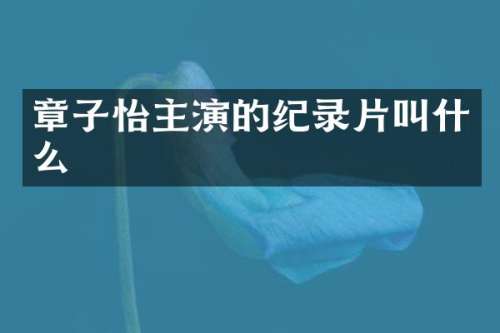 章子怡主演的纪录片叫什么