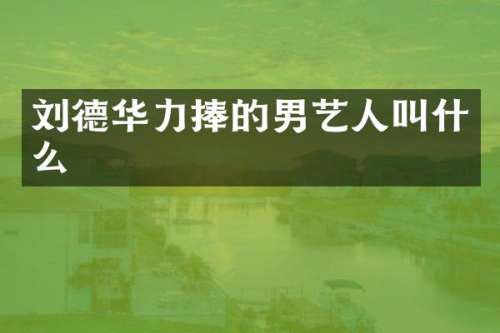 刘德华力捧的男艺人叫什么