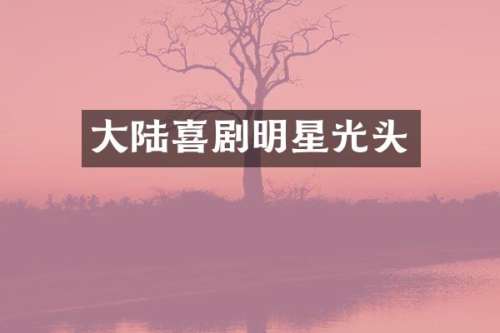 大陆喜剧明星光头