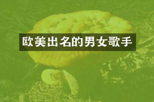 欧美出名的男女歌手