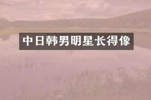 中日韩男明星长得像